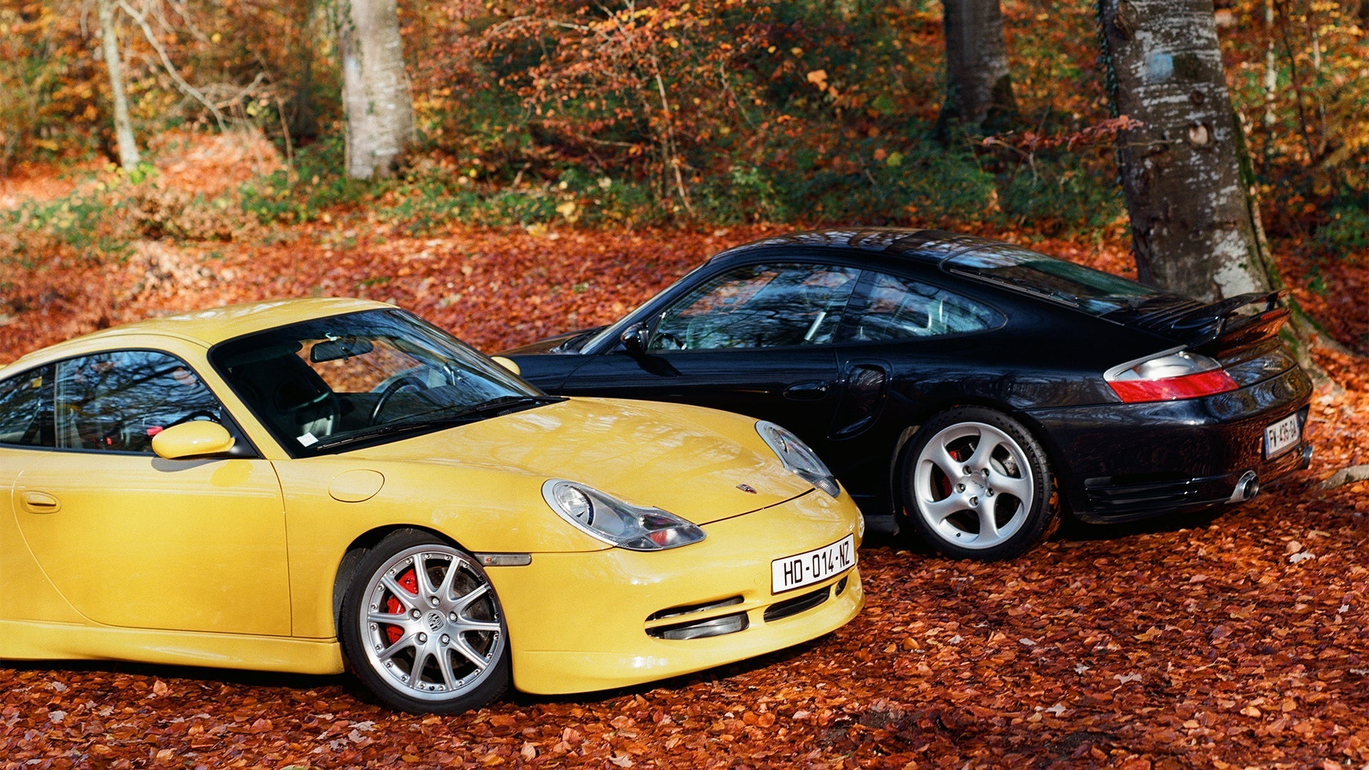 The 996 Paradox: Speed Yellow vs. Nephrite Green